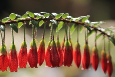 珠海金湾区10私人快速借钱网，轻松解决资金难题
