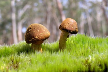 珠海金湾区10私人老板放款：轻松融资的秘密通道